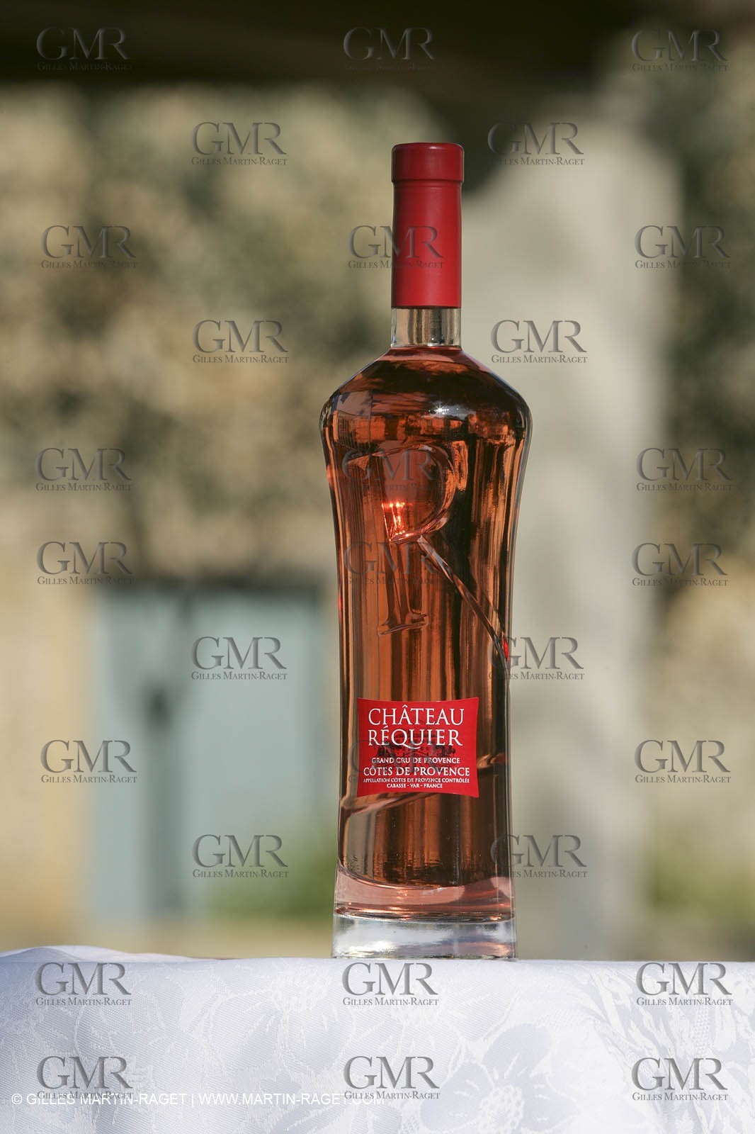 28 02 2008 - Cabasse (FRA, 83) - Domaine du Lac vines