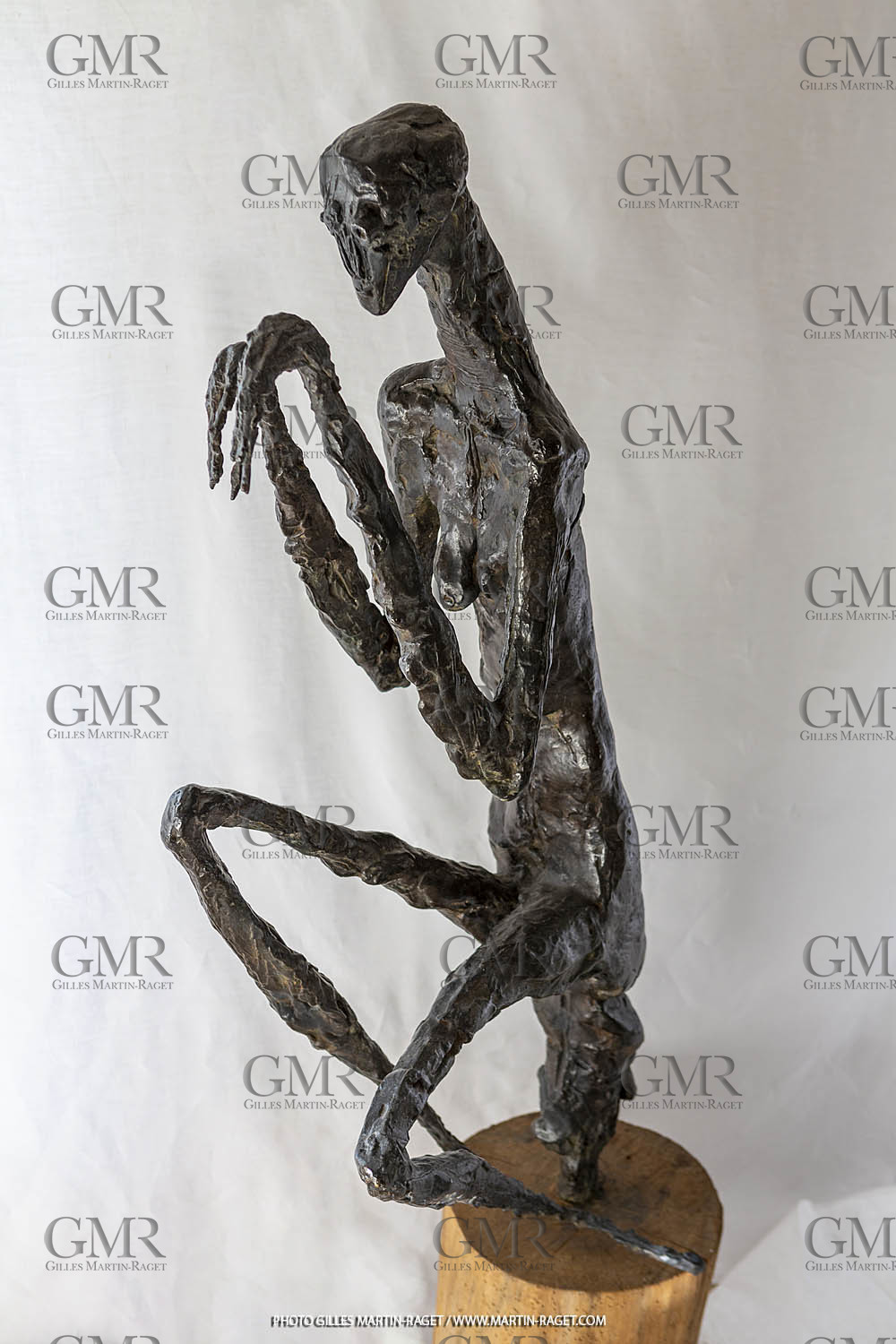 12 07 2020, Oeuvre Germaine Richier, La Mante Grande, 1946, épreuve d'exposition