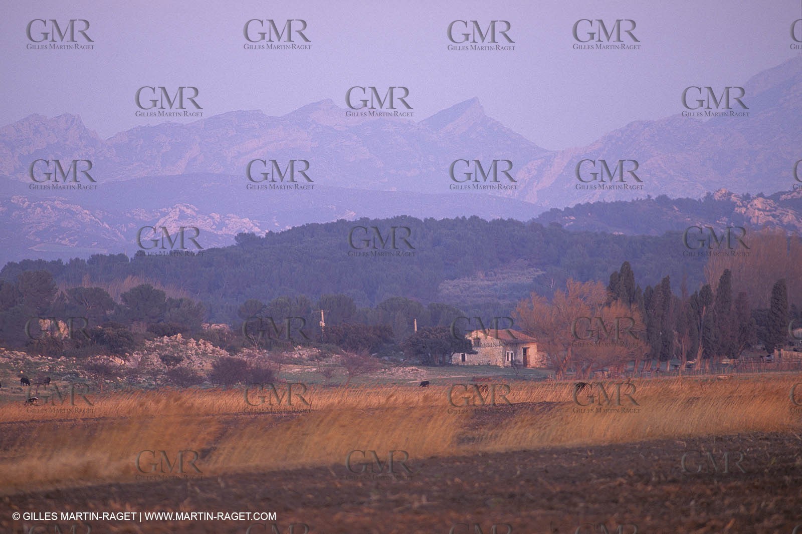 Copie de prov241.jpg