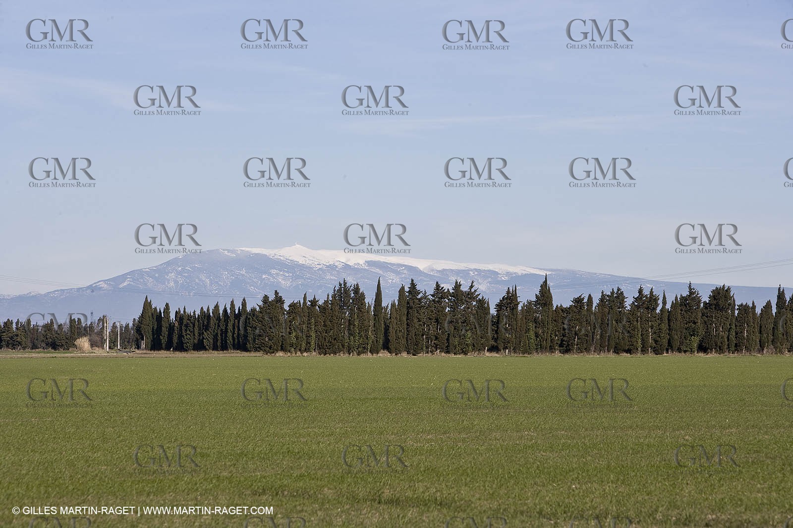 05 02 2008 - Arles (FRA, 13) - Arles surroundings landscapes