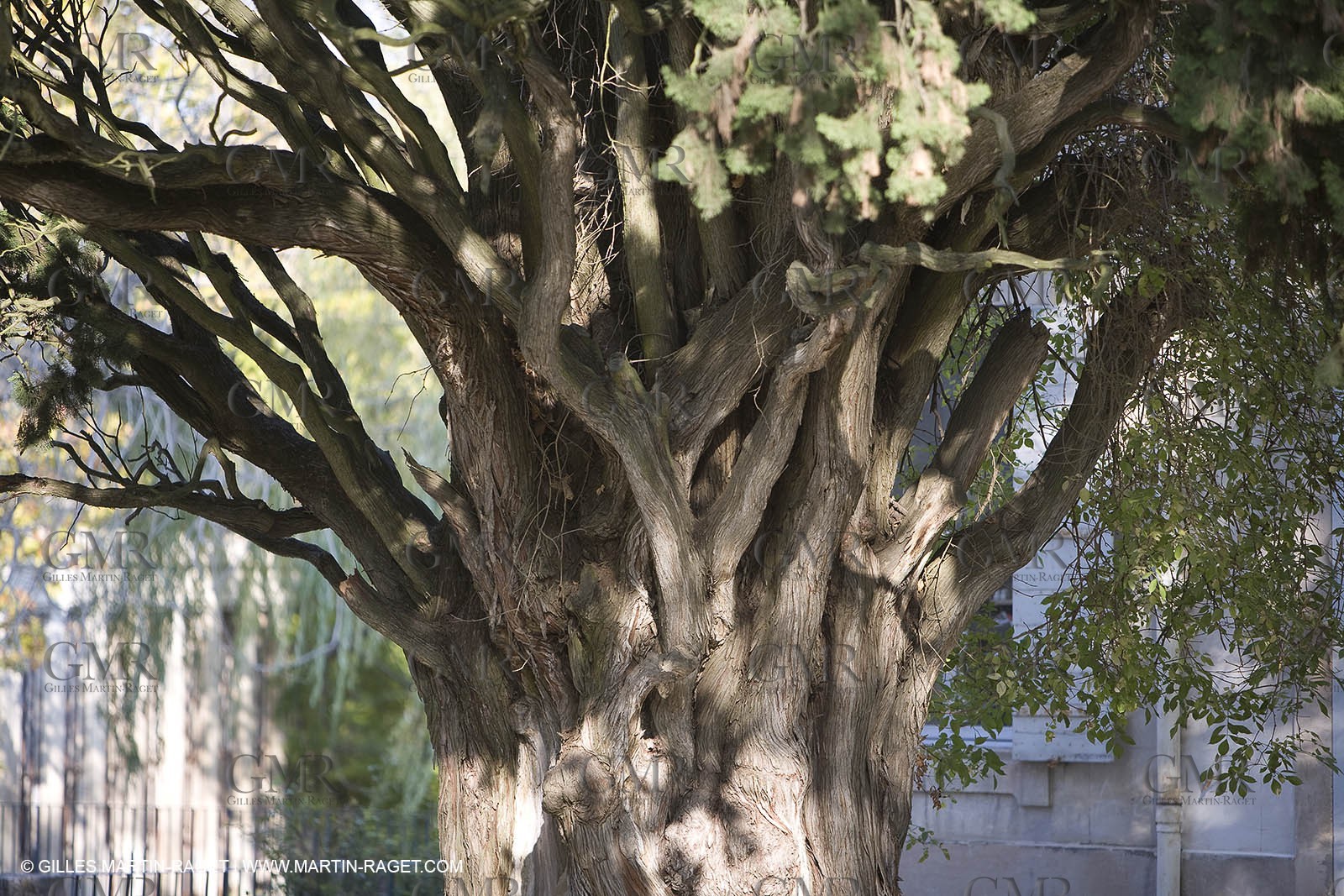 28 10 2007 - St Rémy de Provence (FRA,13) - Chateau des Alpilles