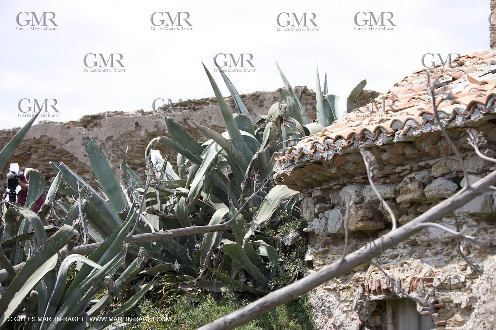 26 07 2008 - Porquerolles Island (FRA,83) - Langoustier fortress