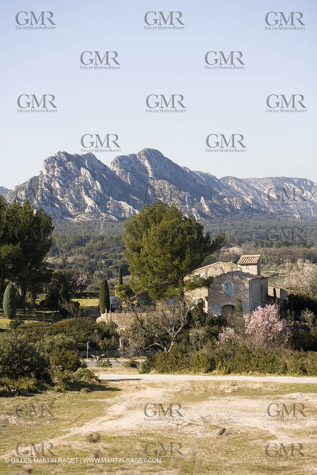 15 02 2007 - Provence - Les Alpilles