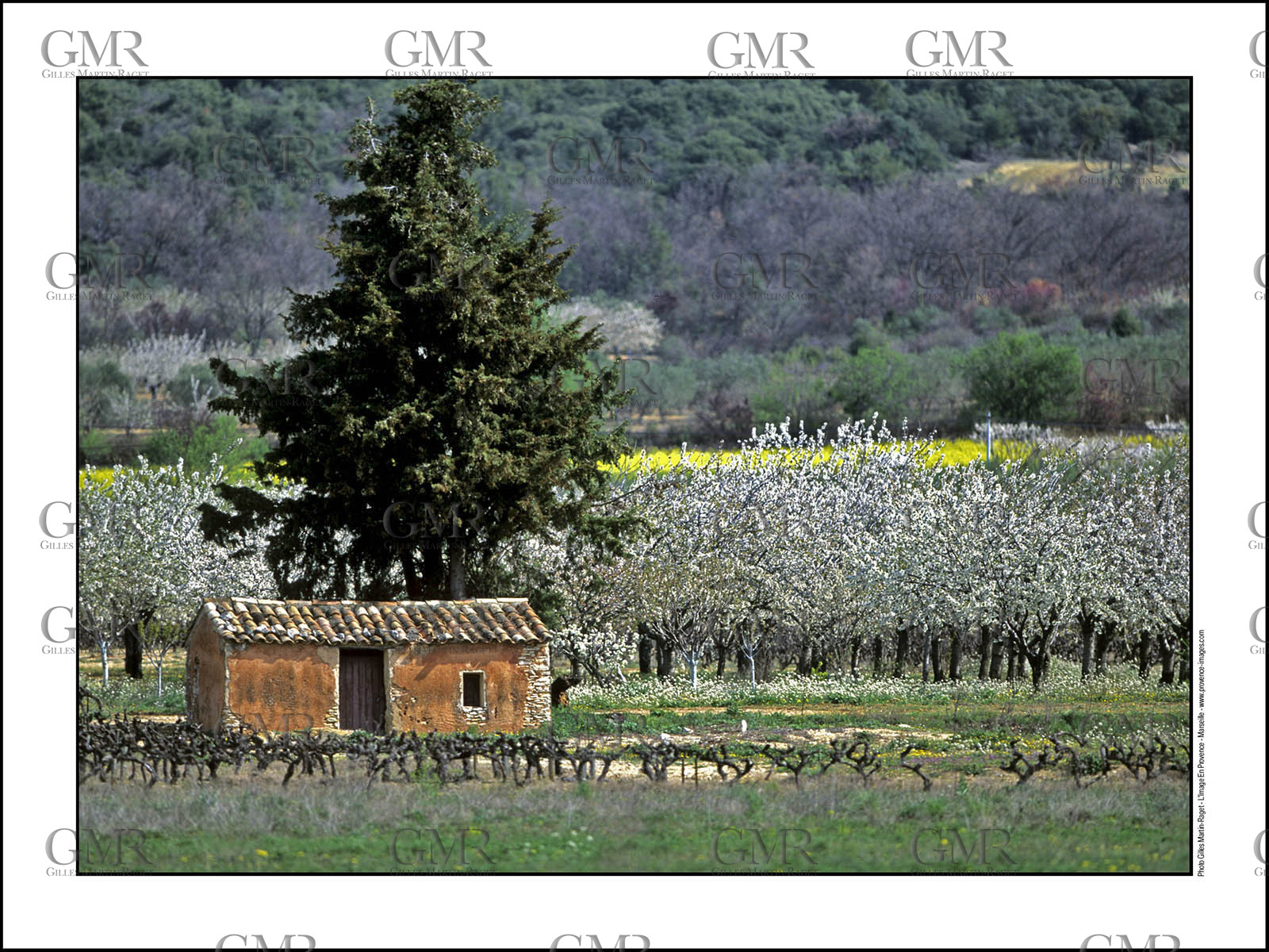 Product: in house made quality print on 8 ultrachome colors Epson ink Jet printer.Available sizes: . 30x40 cm. 50x70 cm. 80x120 cmAvailable papers: . Standard 250 gr glossy paper print, black streak, white margin, no signature. Top quality glossy 290 gr. paper, black streak, white margin, checked and signed by the author. Fine Art print (signed, numbered, stamped, registered) on demand. Other supports (Canvas, Acrylic, Metal) on demandPackaging: cylindric reinforced tubeShipping options: regular mail or Shipping companyClick on the basket icon to select your options and start the online ordering process