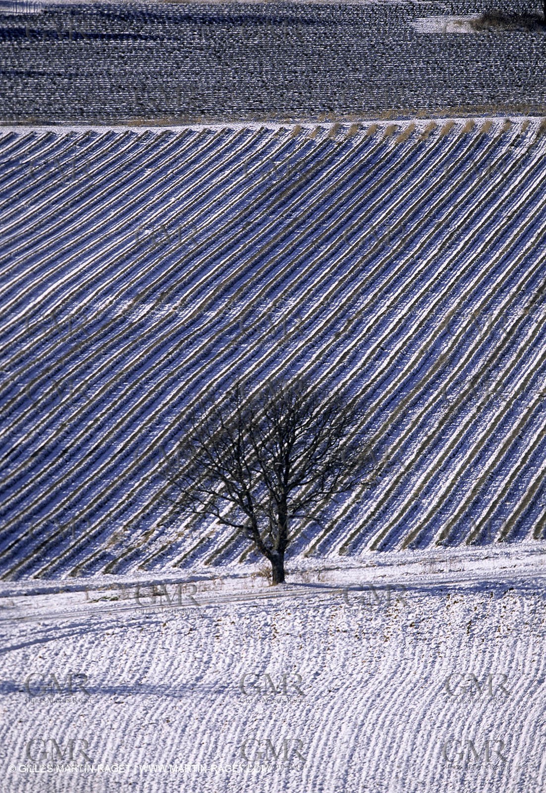 Provence under snow
