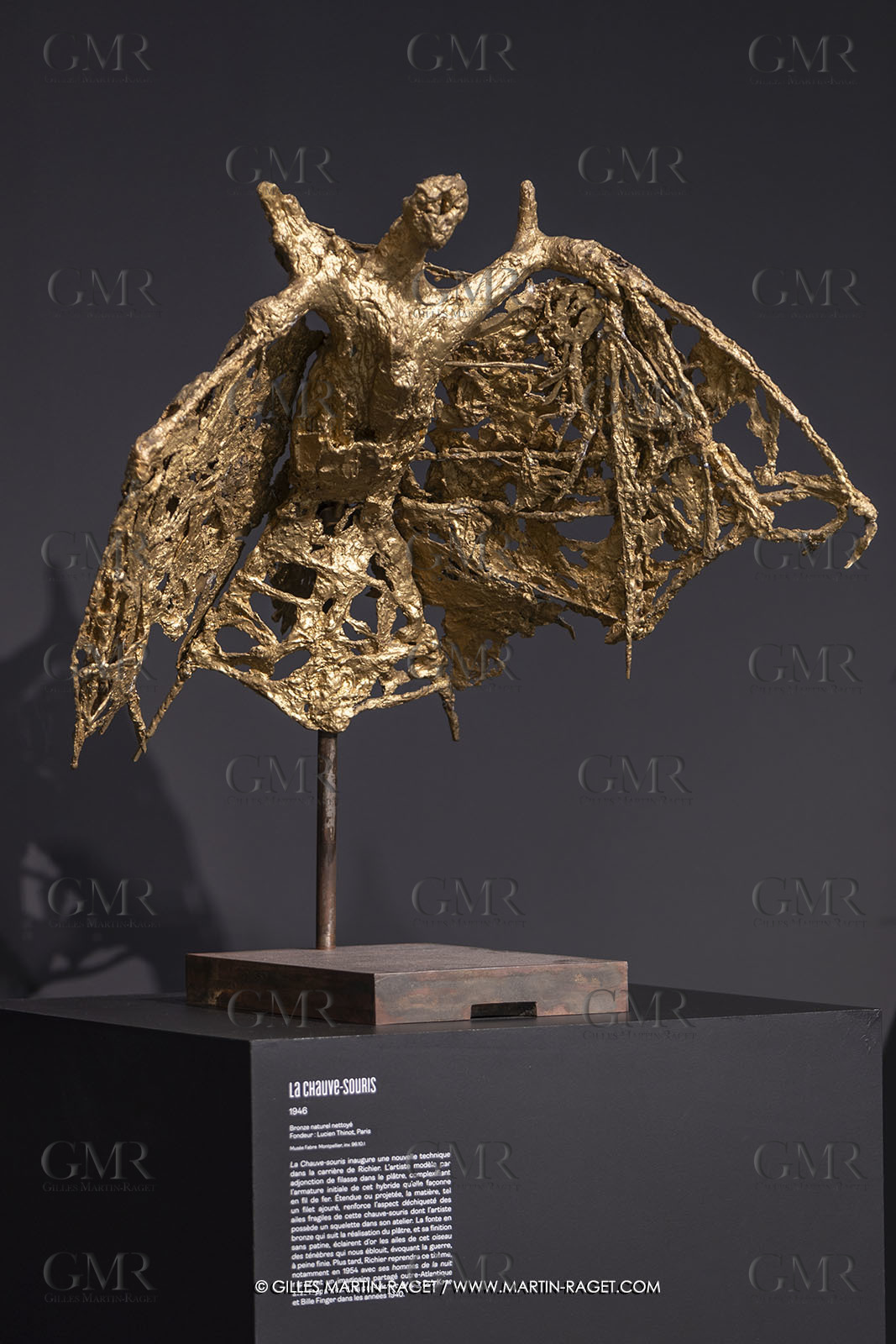30 10 2023, Montpellier (FRA), oeuvre de Germaine Richier, Exposition Centre Pompidou - Musée Fabre 2023, La Chauve-souris 1946,  Bronze naturel nettoyé, Numéroté 6 6, Fondeur : L. Thinot, Paris, 84 x91 x 58 cm, Musée Fabre Montpellier,  achat de la ville de Montpellier avec la participation du FRAM Languedoc-Roussillon, 1996