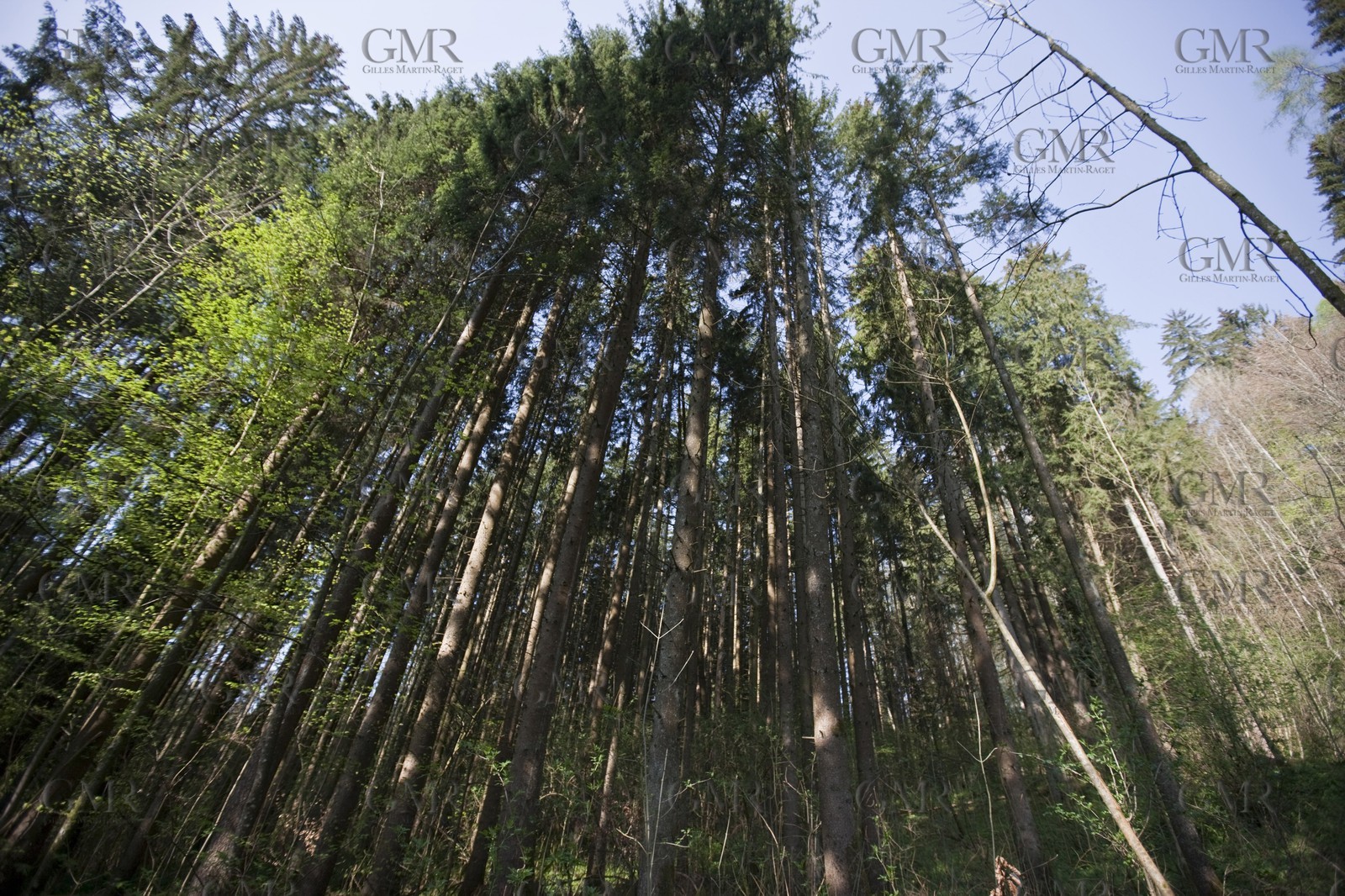 27 04 2010 - Gmunden (Lake Traunsee, Austria) - RC44 World Championship 2010 - BMW ORACLE Racing - Training