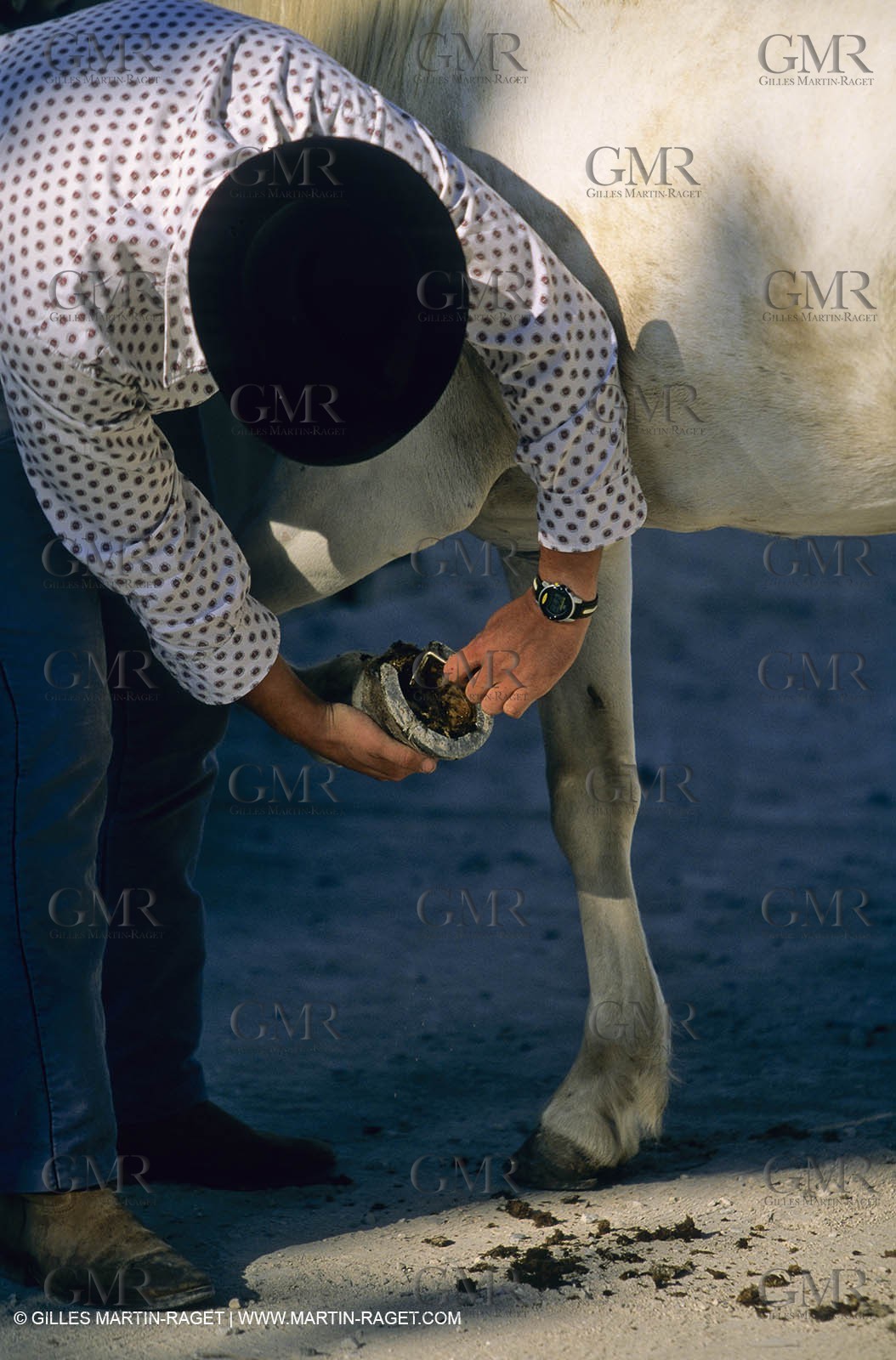 Saint Rémy de Provence (FRA,13) - Careto ramado (charrette fleurie)
