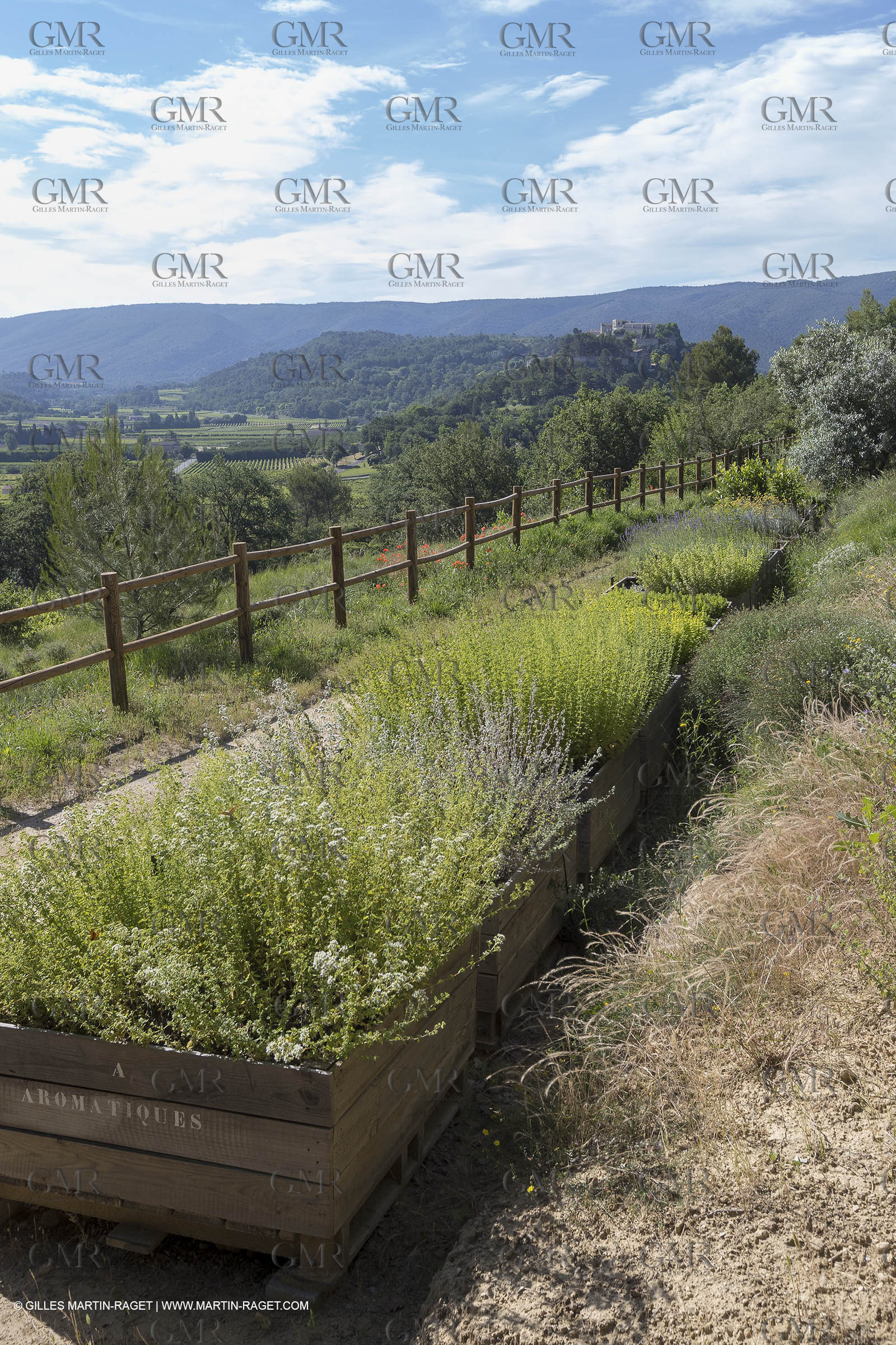 22 06 2018, Ménerbes (FRA,84), Domaine de la Citadelle, Jardin Botanique