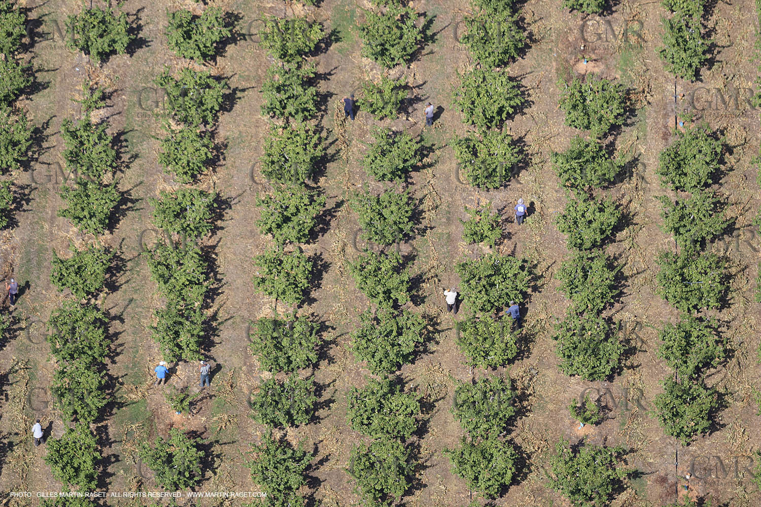 Payages des Costières (30)