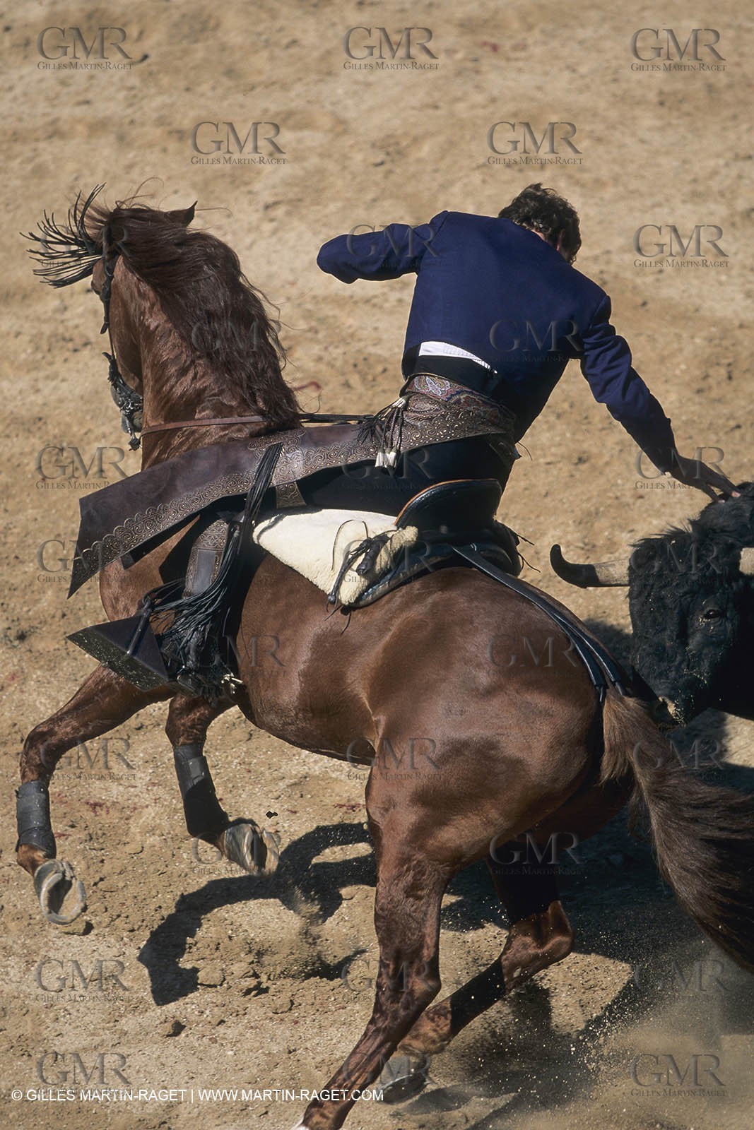 France, Provence, Traditions, Tauromachie, bull fights