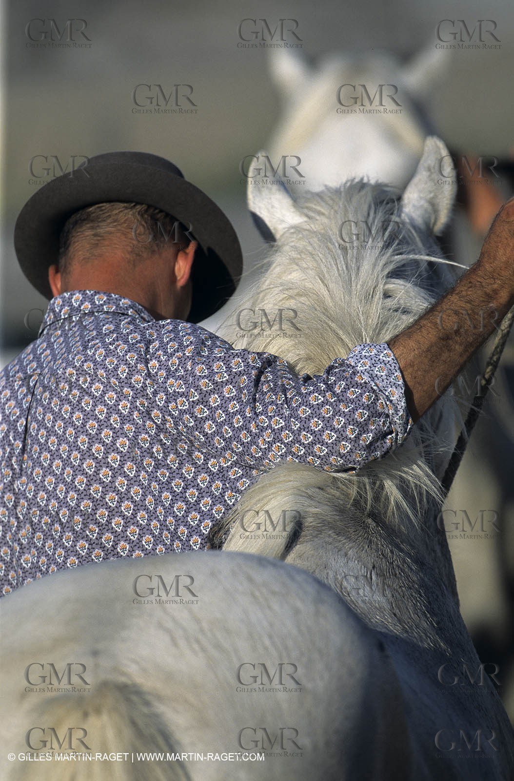 Camargue (FRA,13) - Gardians