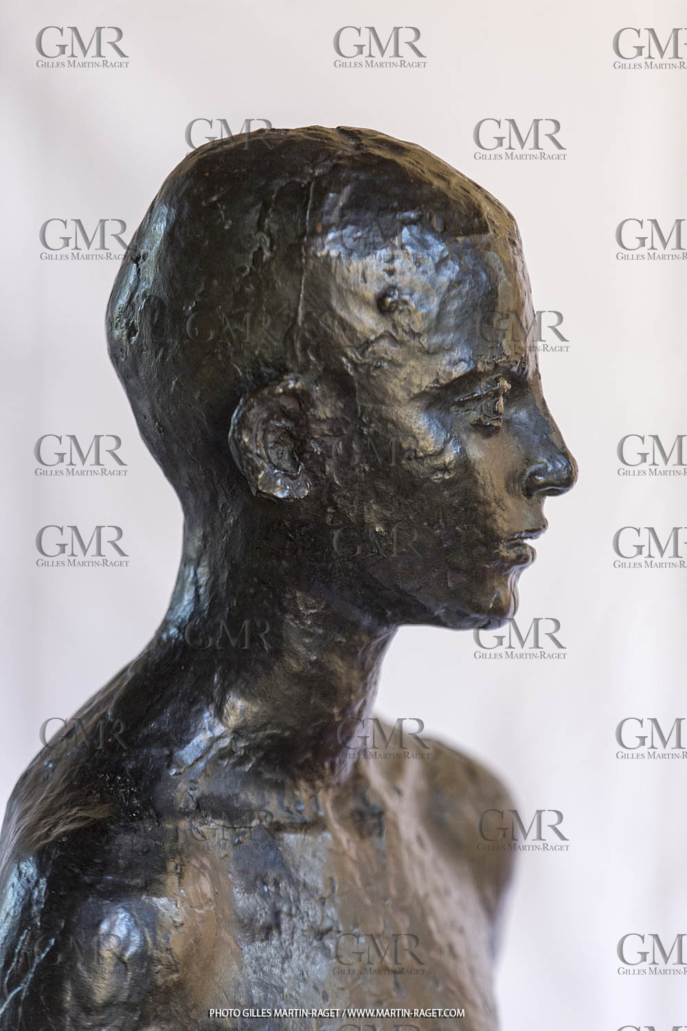 06 03 2016, Saint-Etienne du Grès (FRA,13), Oeuvre de Germaine Richier, Loretto I 1934, Bronze patiné foncé, Numéroté 4 6, fondeur Susse, Paris, 160 x 52 x 35 cm, Collection particulière