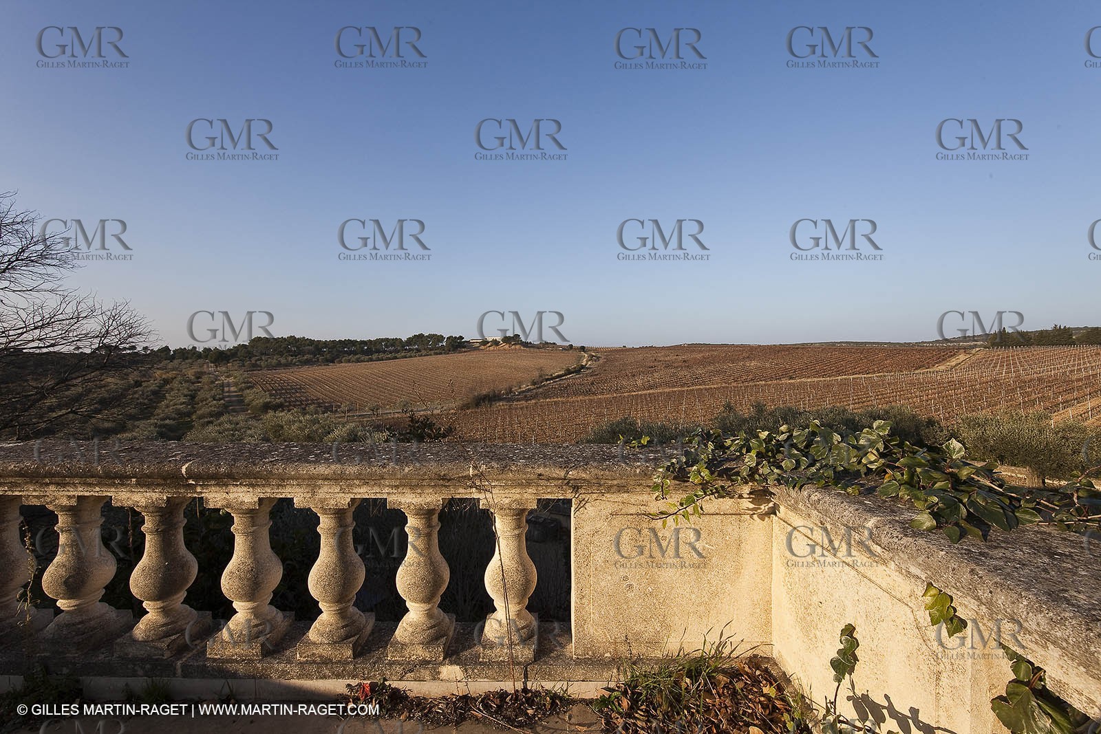 Saint Drézéry (FRA, 34), Domaine de Puech Haut