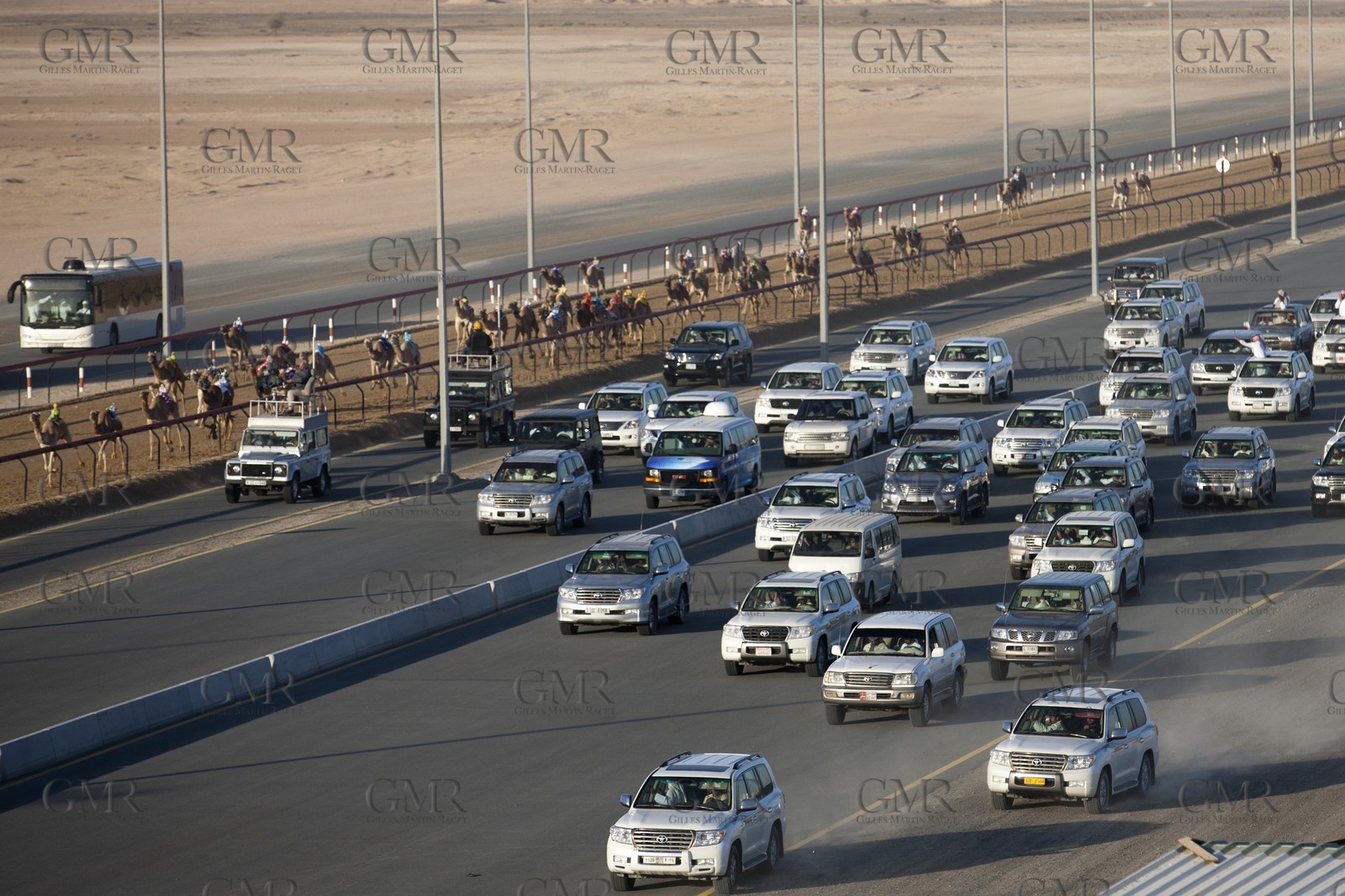 20 11 2010 - Dubai (UAE) - Camel races