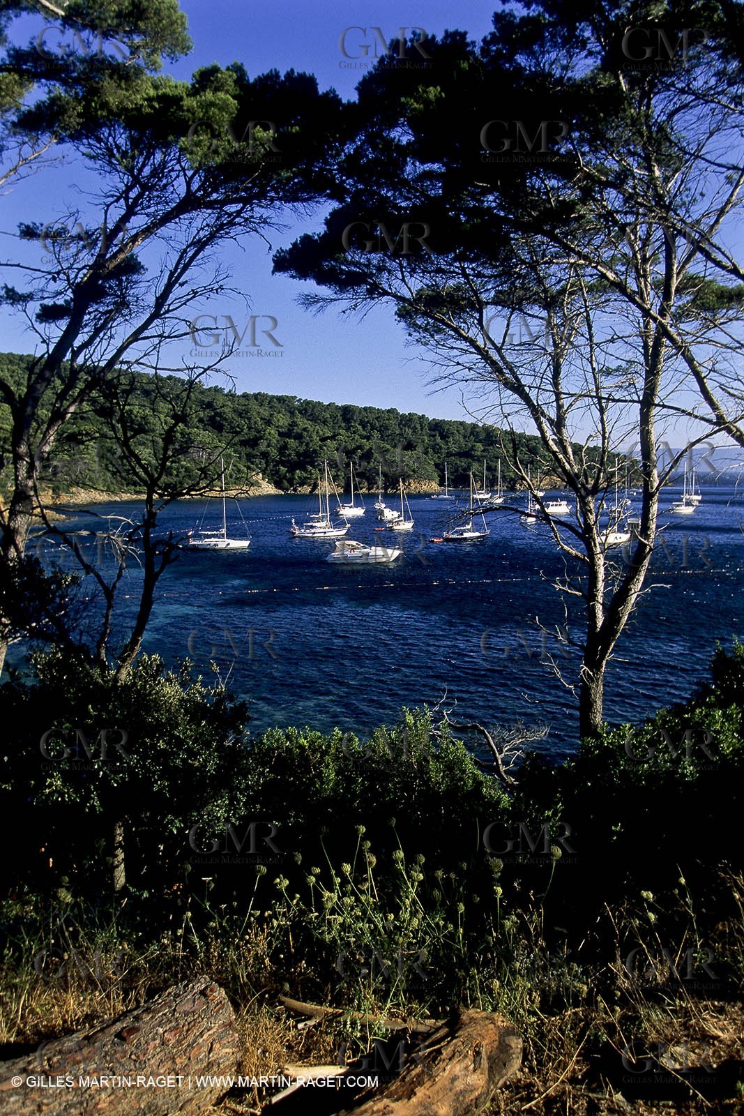 Iles d'Hyeres - Port Cros