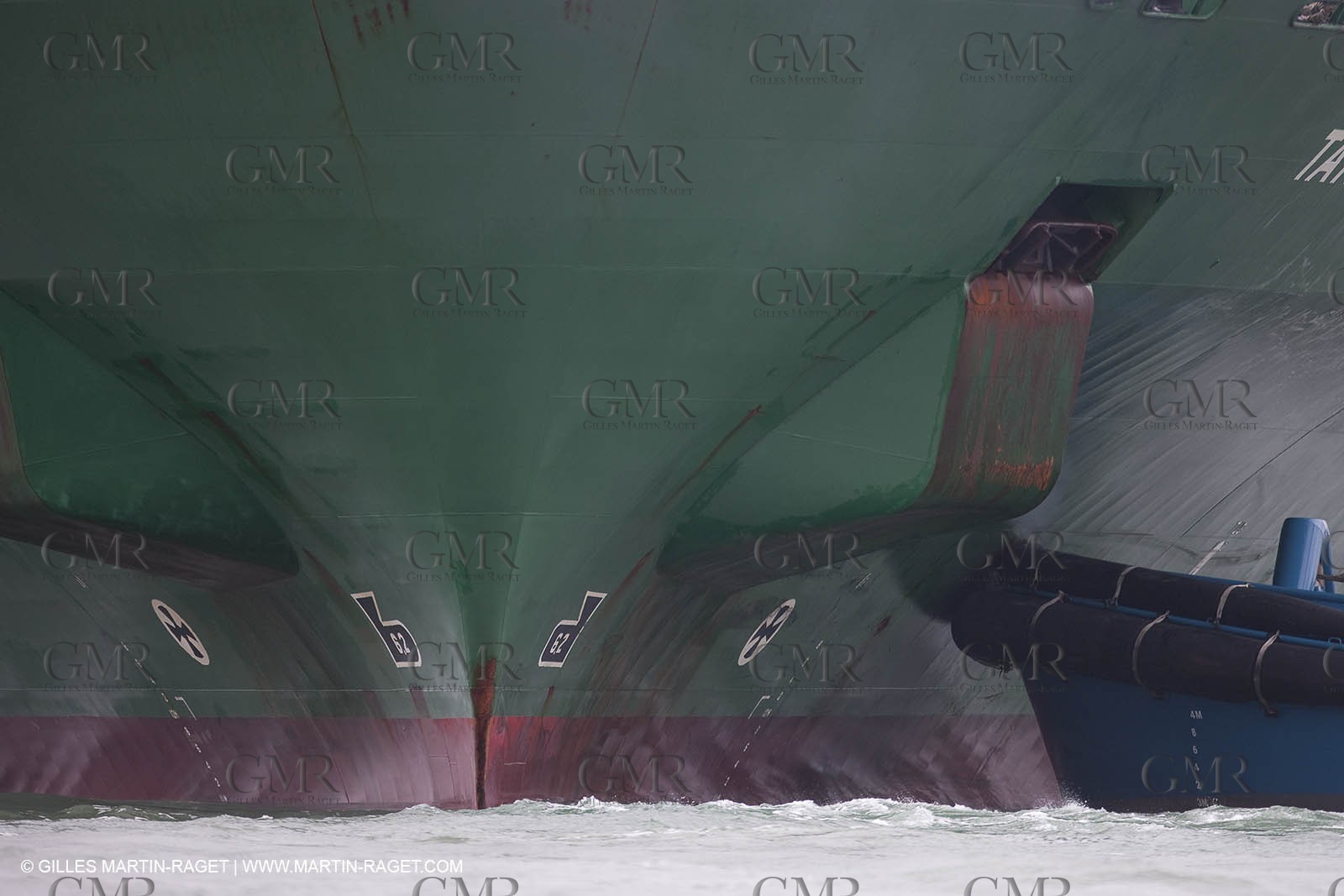 31 01 2009 - Auckland (NZL) -  Louis Vuitton Pacific Series -  Racing Day 2