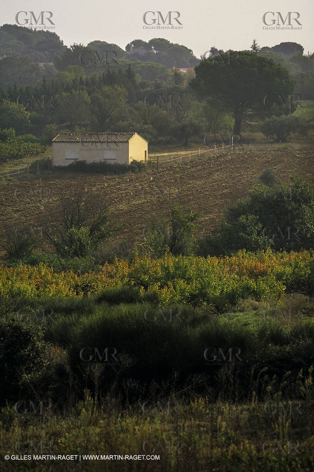 Paysages de Nîmes Métropole (FRA,30) -Costières