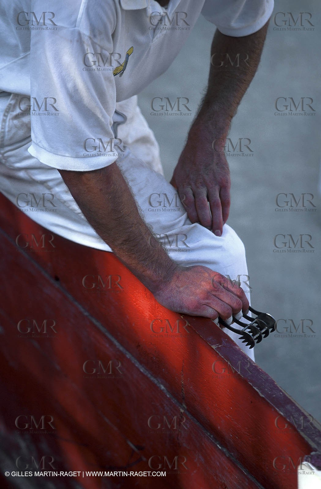 Camargue Bull game