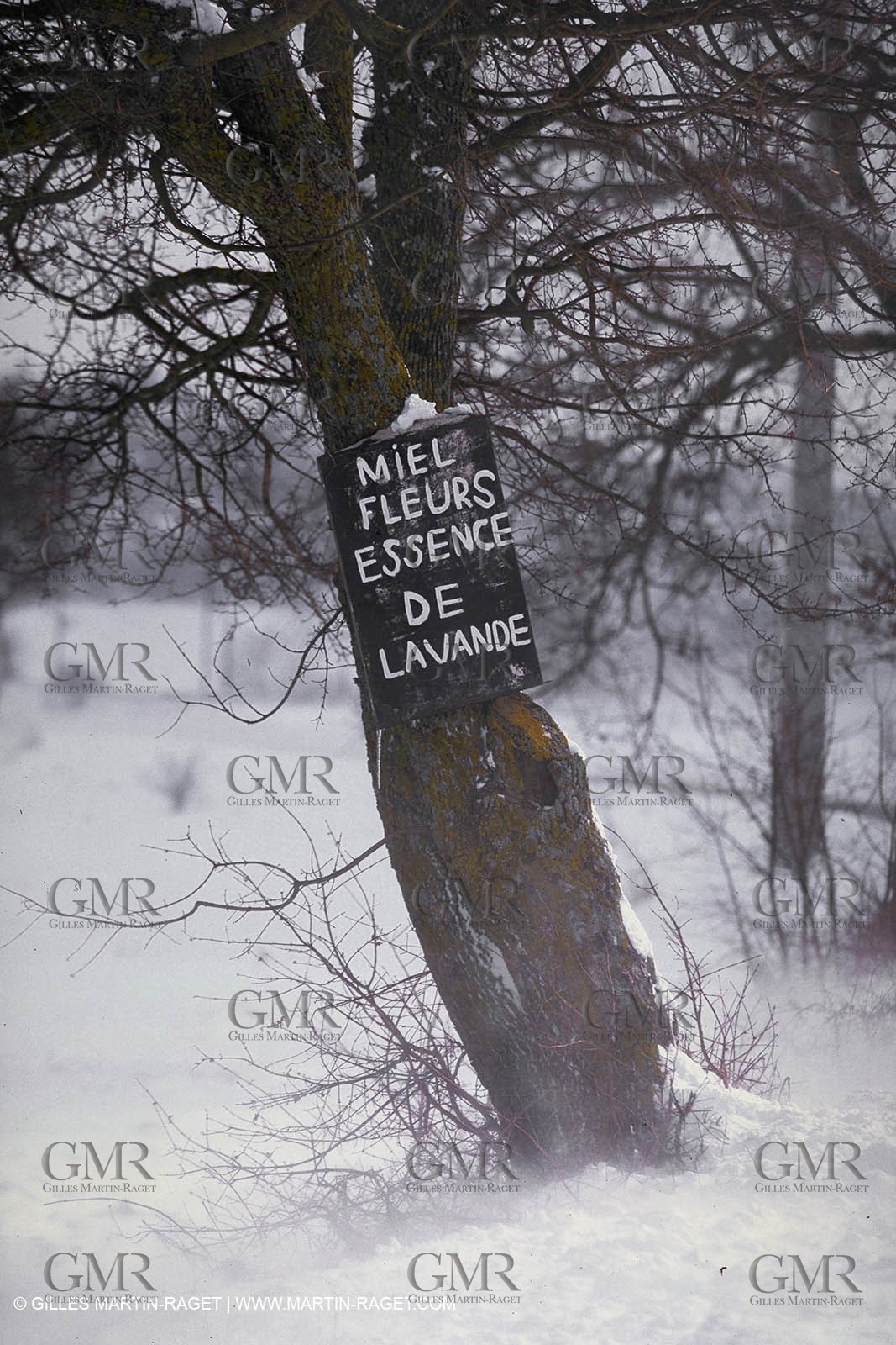 Conditions hivernales sur le plateau de Sault