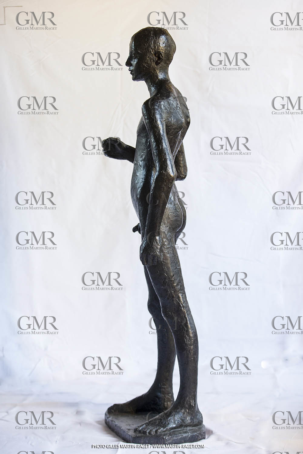 06 03 2016, Saint-Etienne du Grès (FRA,13), Oeuvre de Germaine Richier, Loretto I 1934, Bronze patiné foncé, Numéroté 4 6, fondeur Susse, Paris, 160 x 52 x 35 cm, Collection particulière