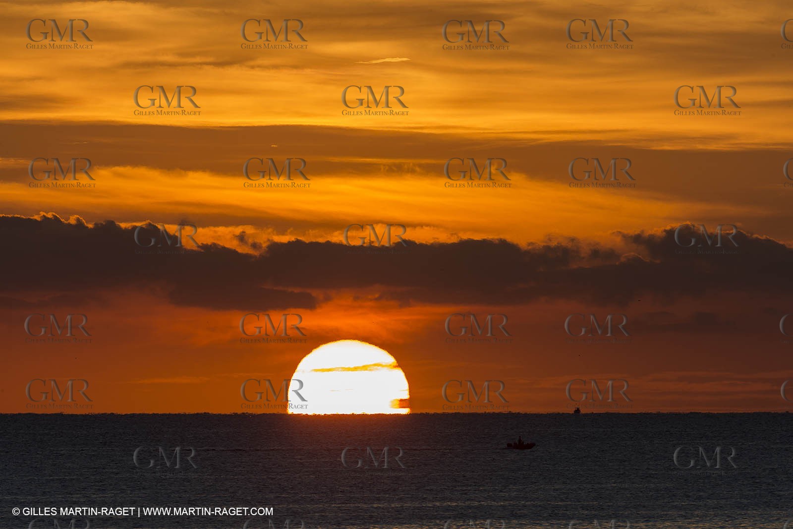 11 10 2014, Alicante (ESP), Volvo Ocean Race 2014-15, Team Alvimedica