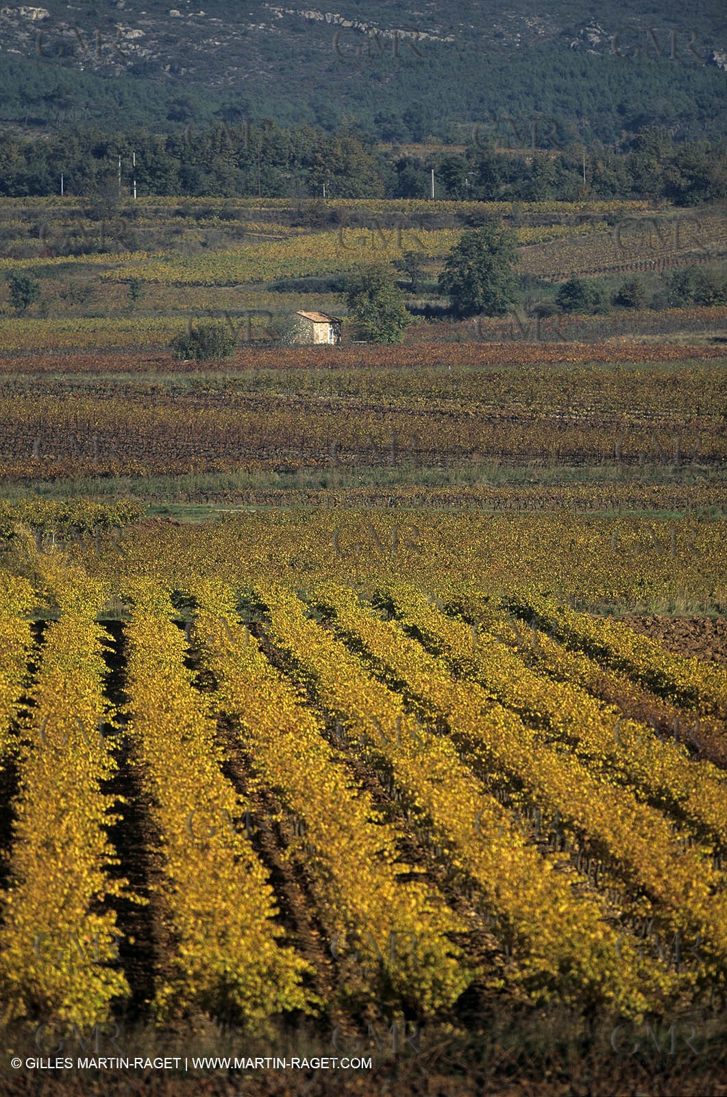 Aix en Provence area