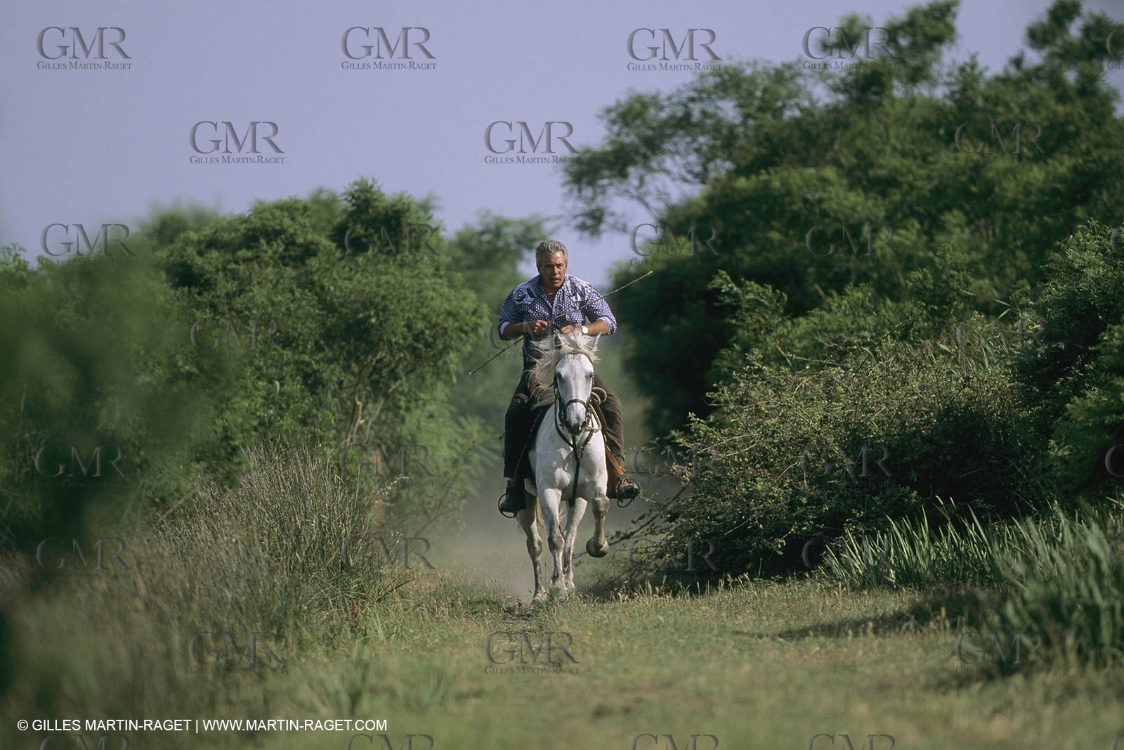 France, Provence, Gardians de Camargue