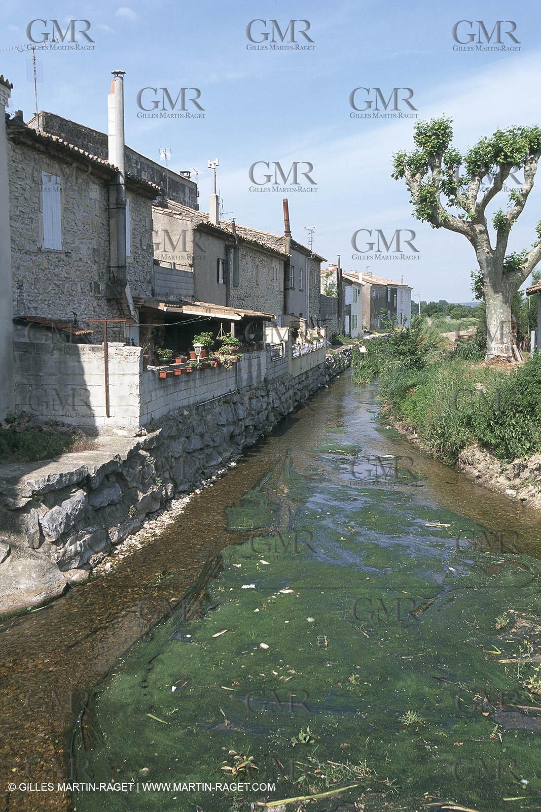 costieres_plaine0072.jpg