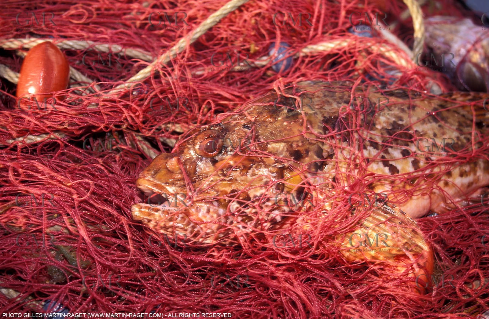 Fishing - local fishing boats