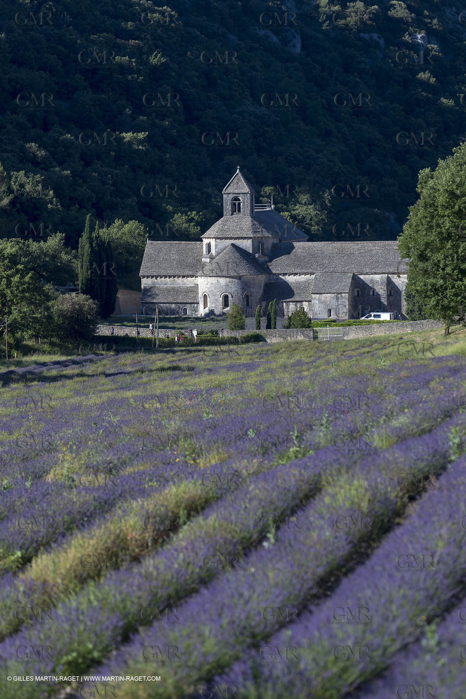25 06 2018, Gordes (FRA,84), Abbaye de Sénanque