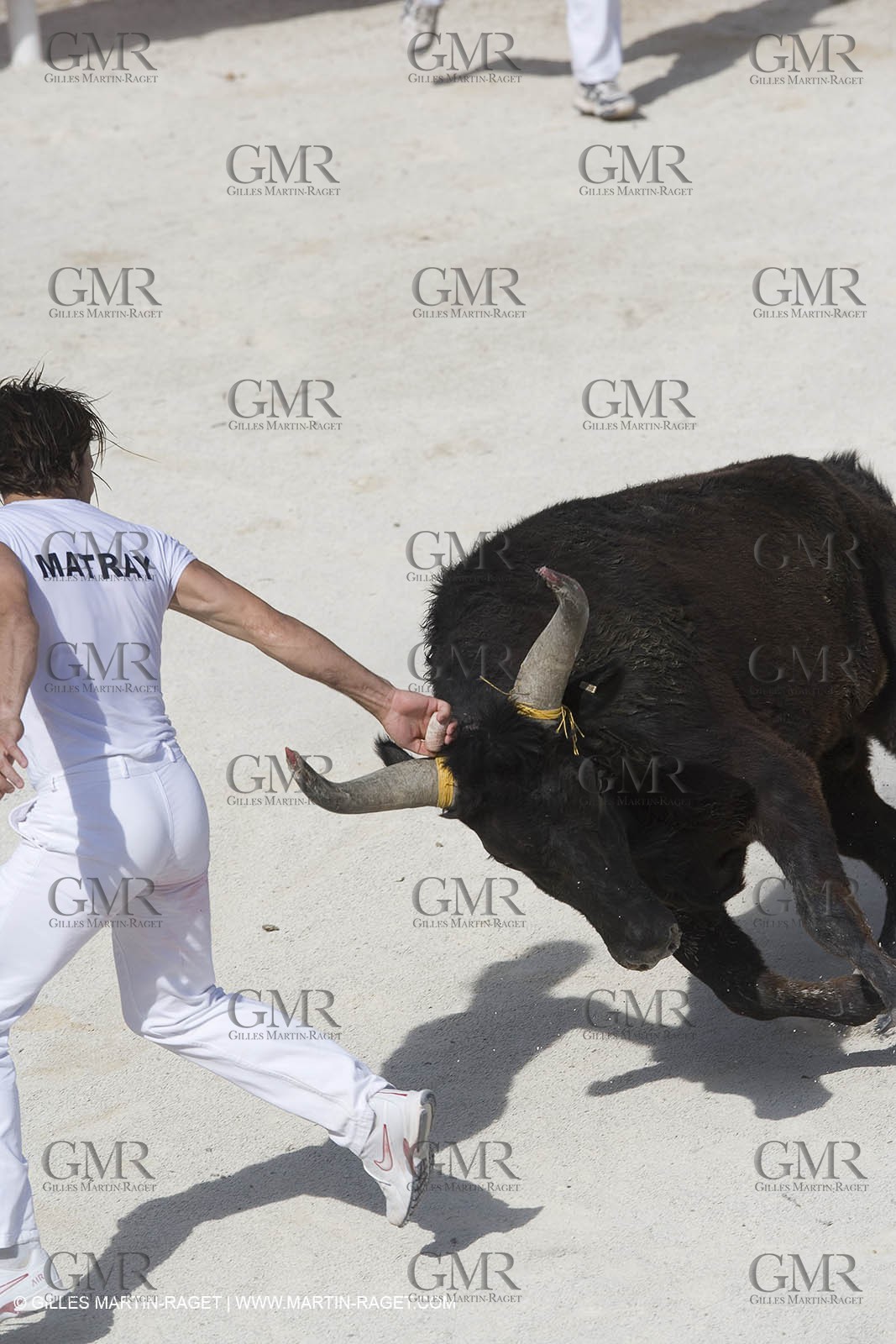 bull games