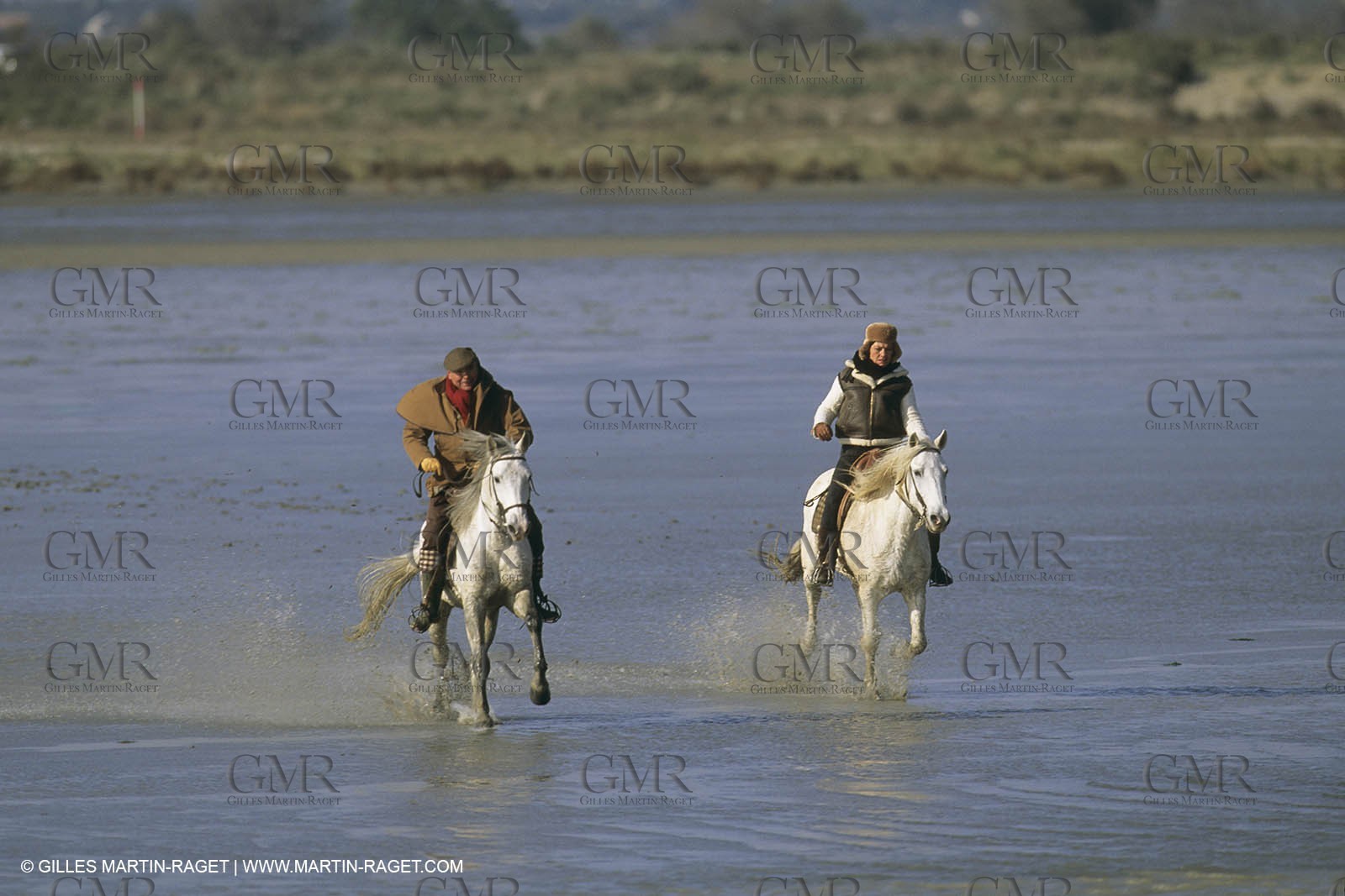 France, Provence, Gardians de Camargue