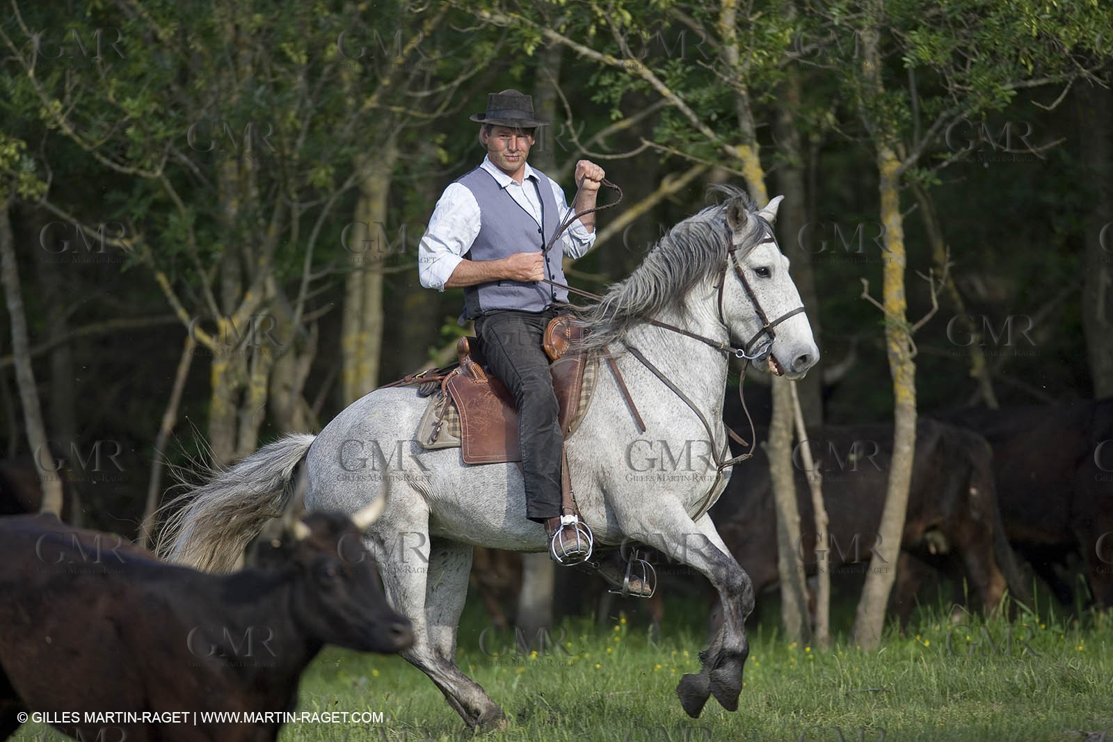 07 05 2008 - Le Cailar (FRA,30) - Stock work at Mas du Pont de Laute domain