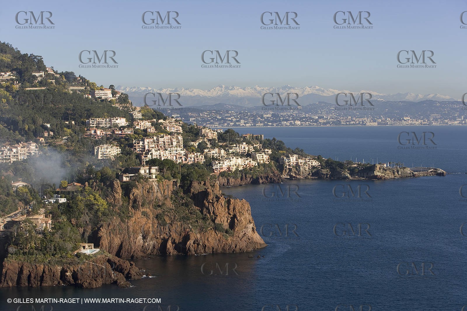 06 02 2008 - Théoule sur mer (FRA, 06) - Mimoses in full flower