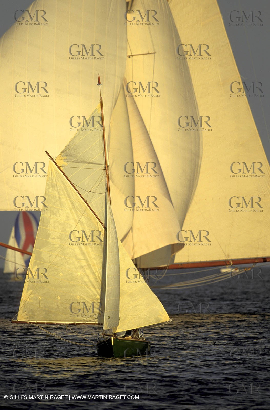 Small boats - Voiles de Saint Tropez