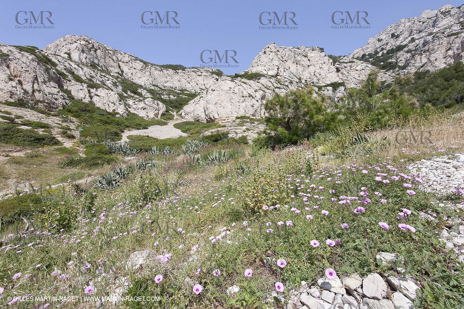 20 05 2009 - Marseille (FRA, 13) - Les Calanques - Calanque du Podestat