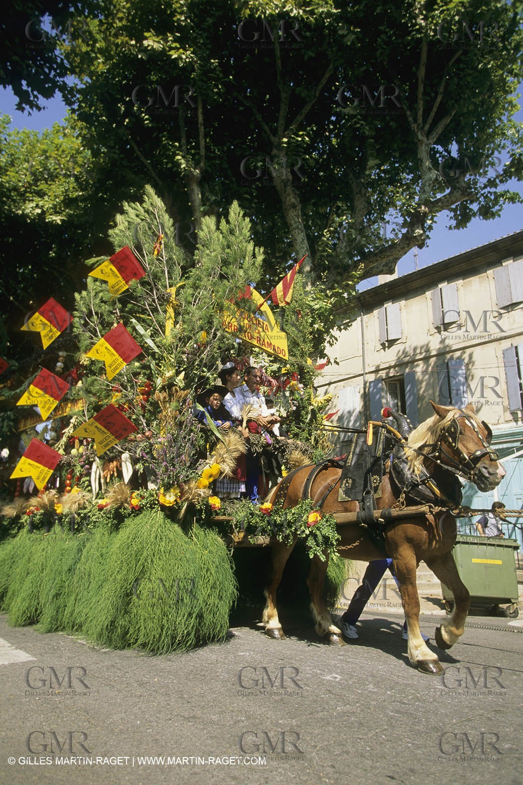France, Provence, Saint-Rémy de Provence, Careto ramado (Char fleuri)