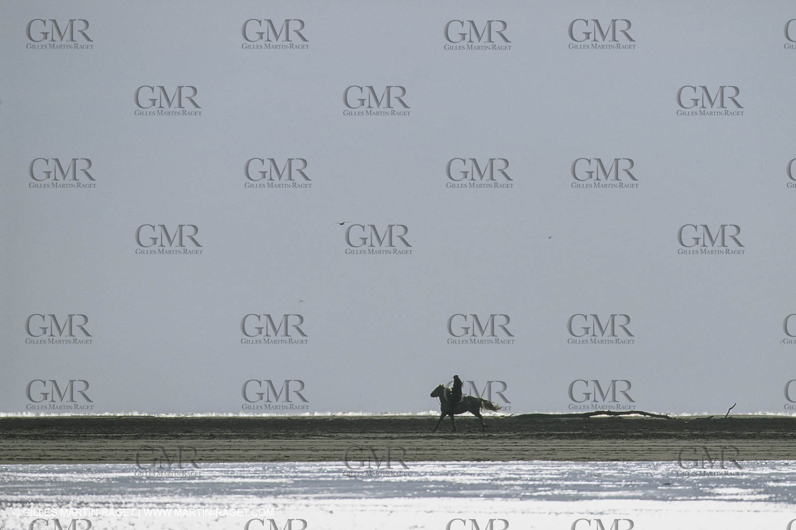France, Provence, Gardians de Camargue