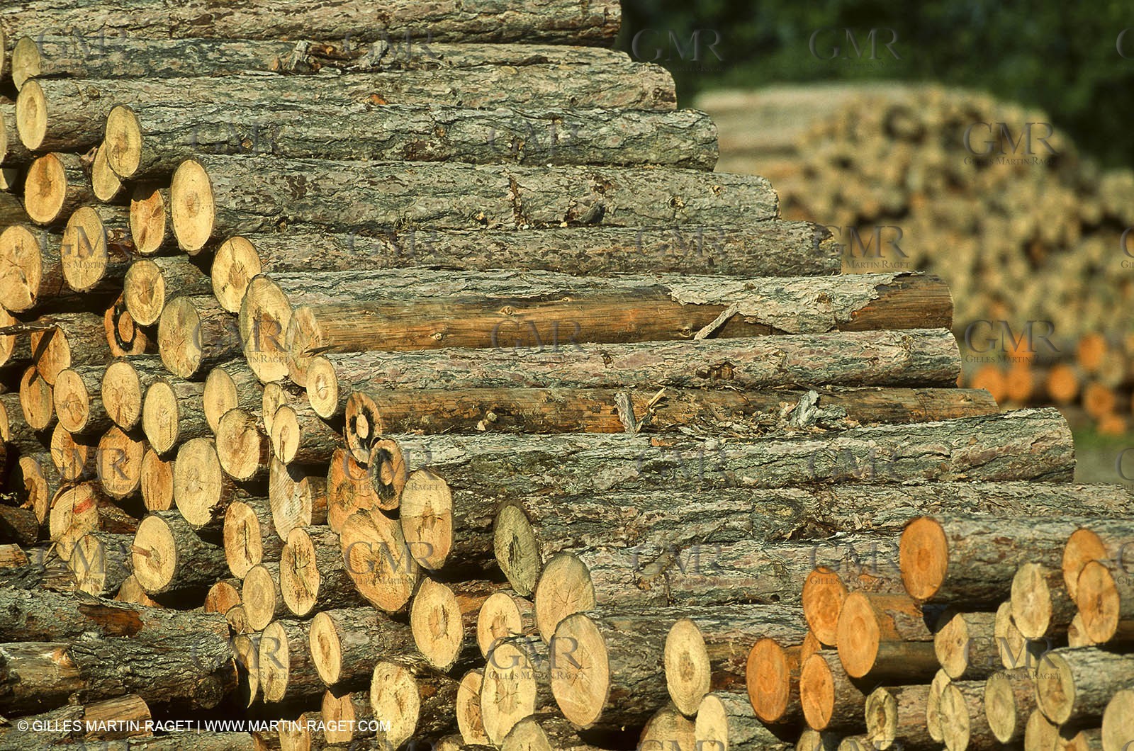 France - Southern Alps