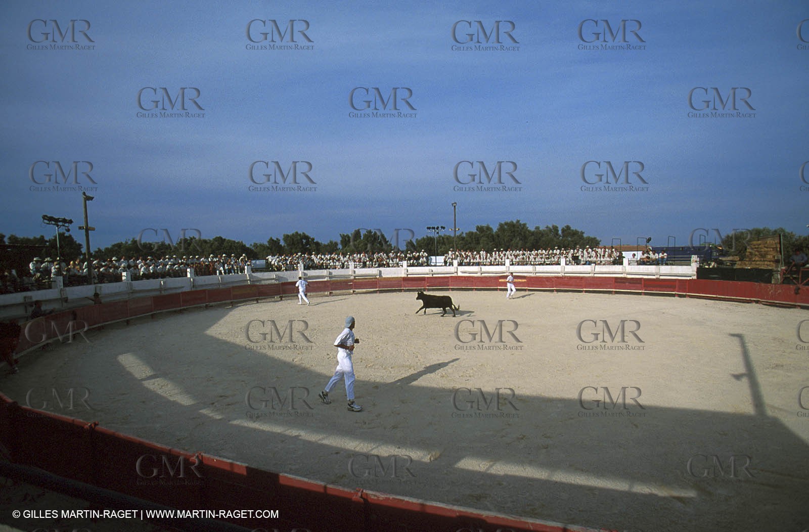 Camargue Bull game