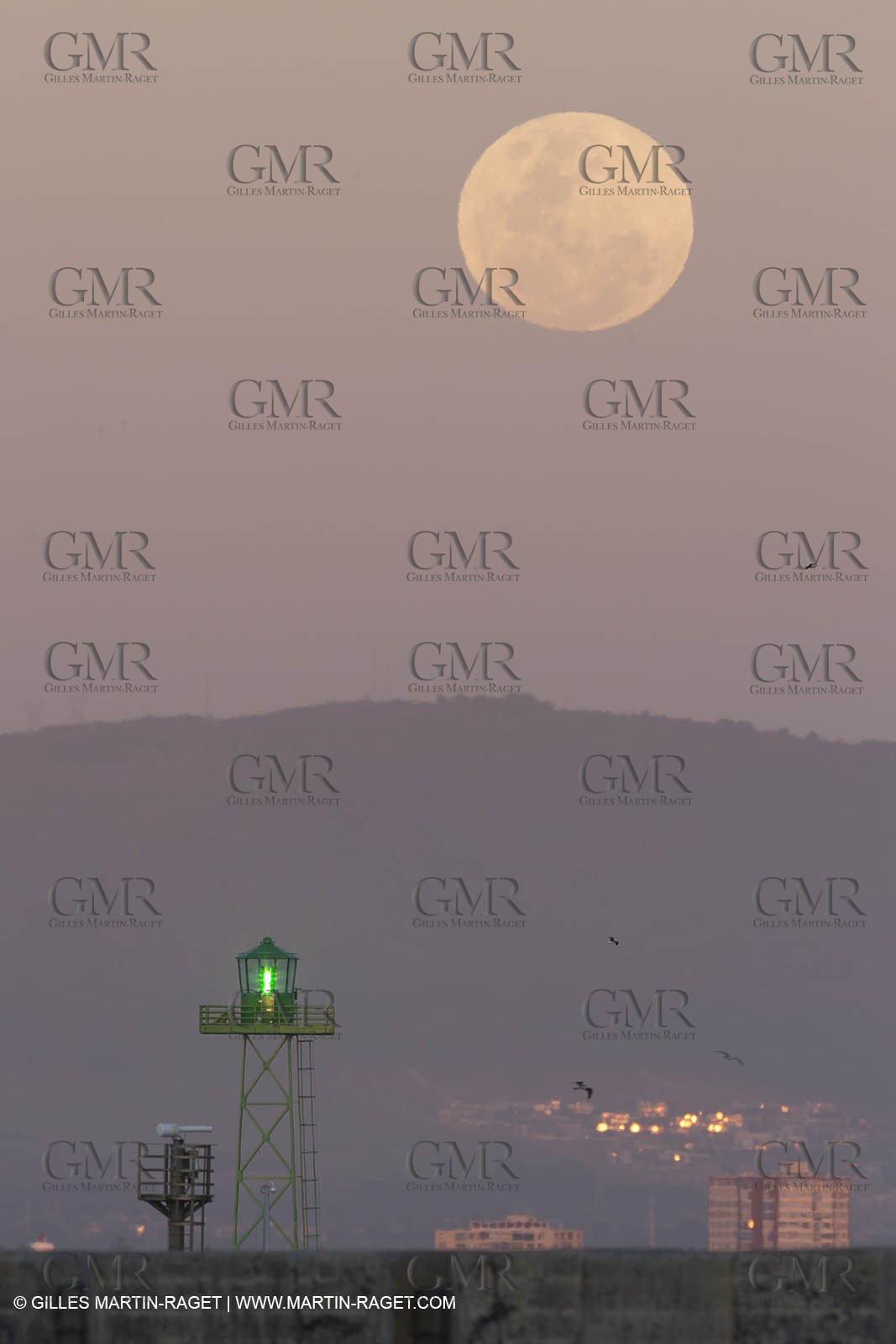 07 11 2014, Capetown (ZAF), Volvo Ocean Race 2014-15, Team Alvimedica finish and arrival in Cape Town