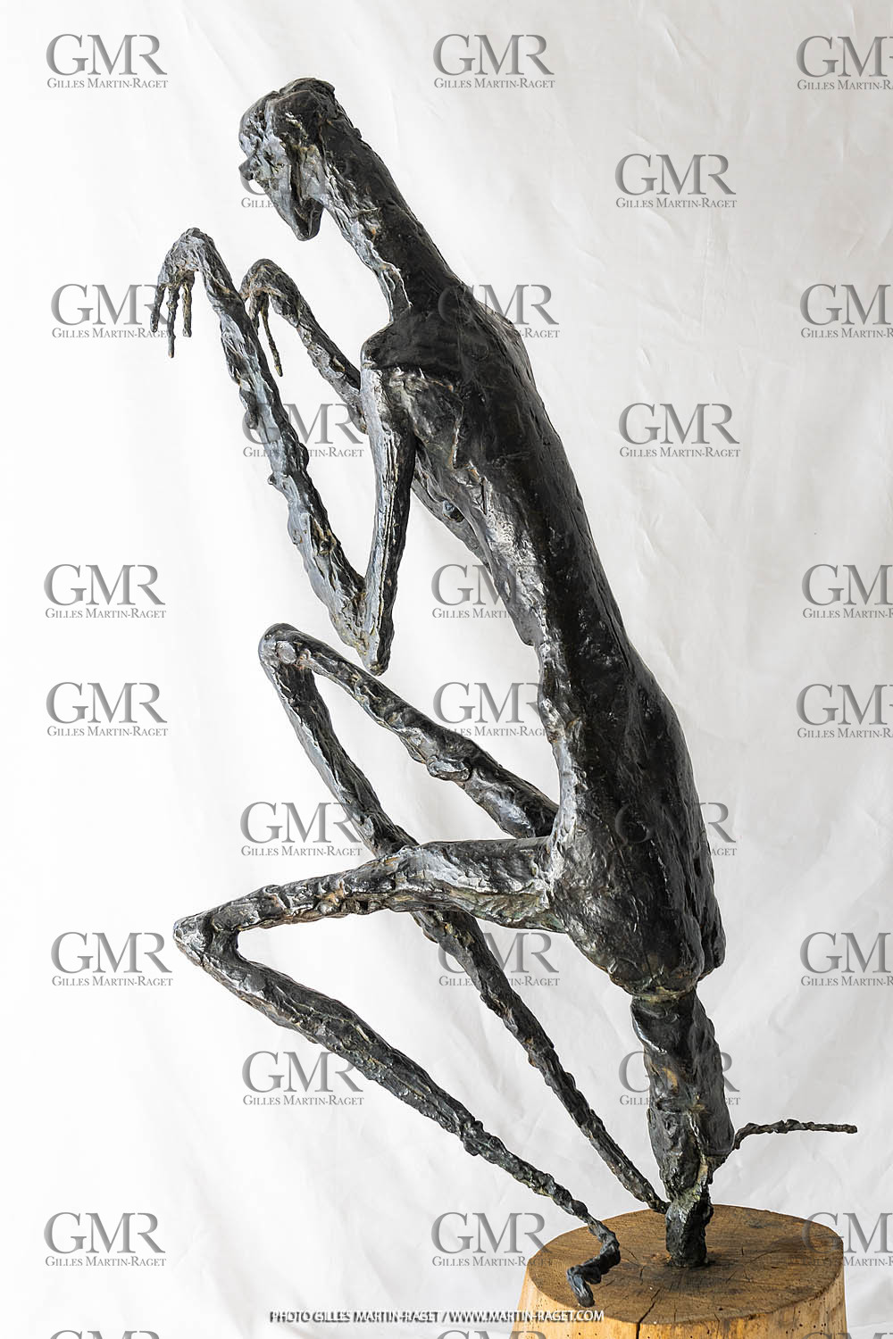 12 07 2020, Oeuvre Germaine Richier, La Mante Grande, 1946, épreuve d'exposition