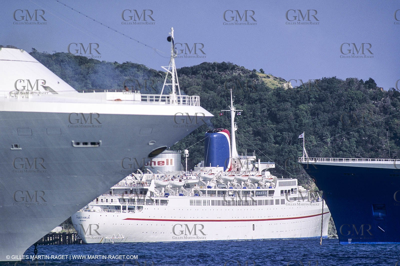 Paquebots, liners, cruise ships