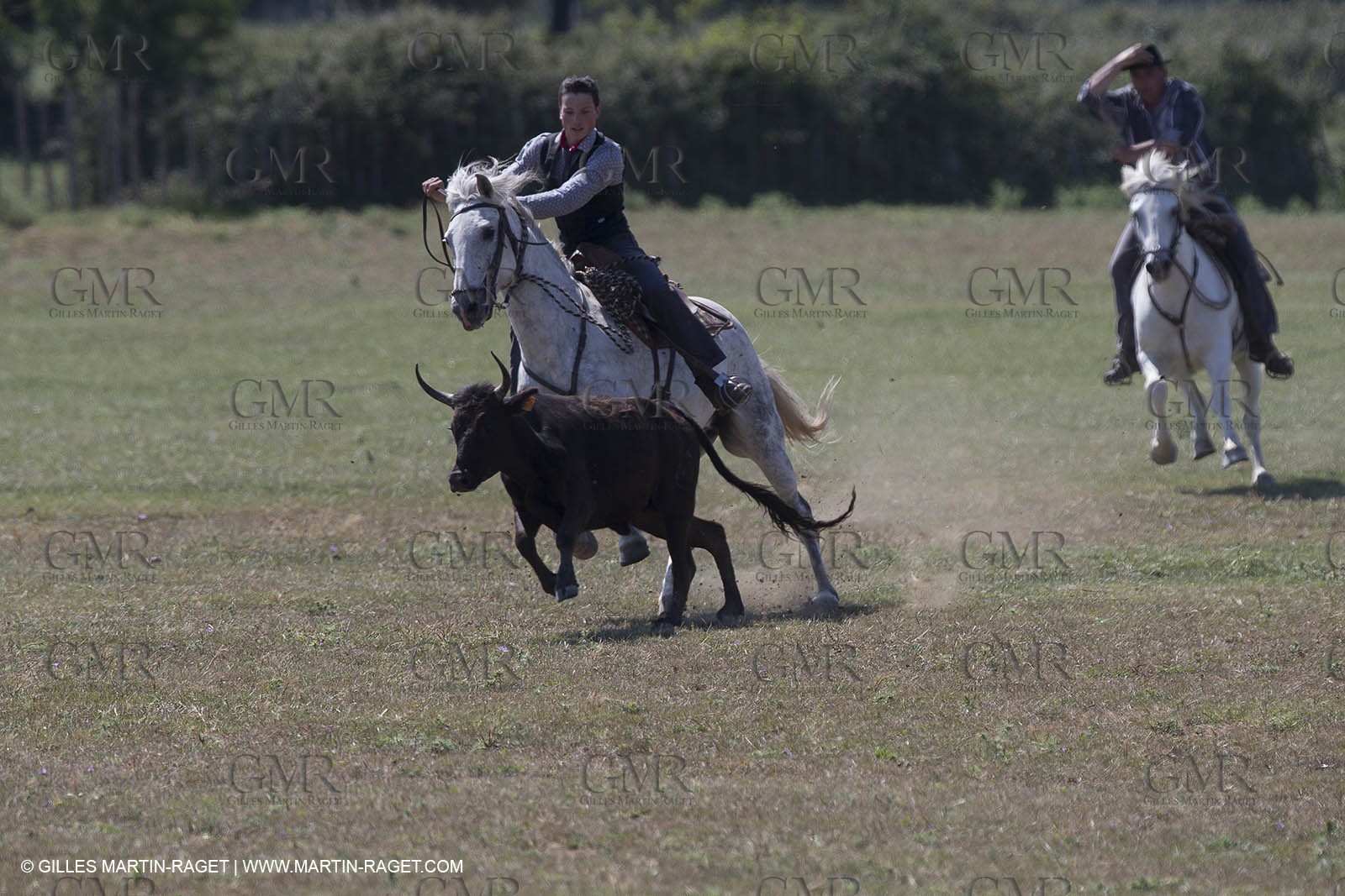 Course de Satin 2014 - Arles (FRA,13) - 1 06 2014**The satin race - Arles (FRA,13) - 01 06 2014