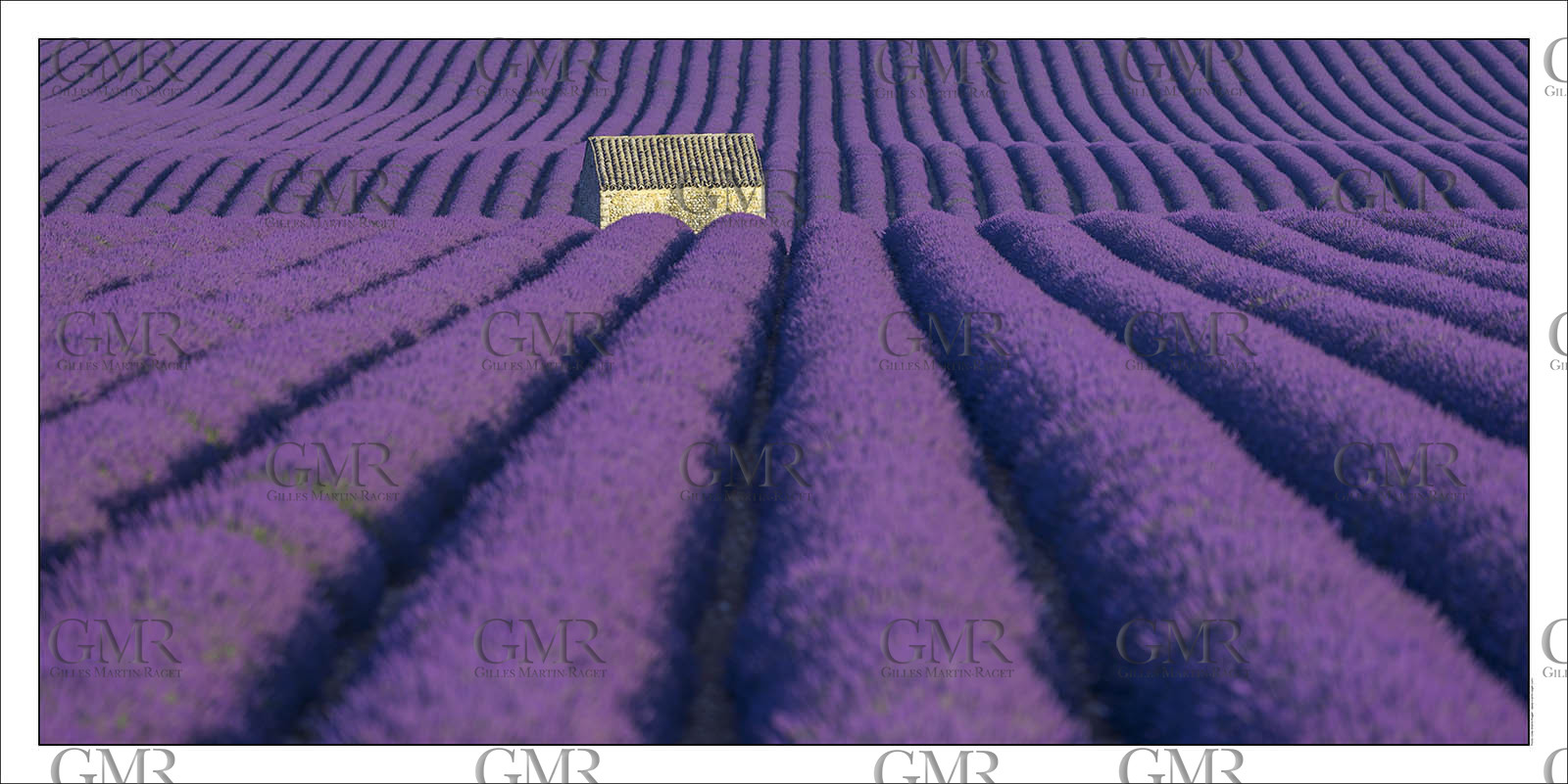 Product: in house made quality print on 8 ultrachome colors Epson ink Jet printer.Available sizes: . 50 x 100 cm. 100 x 200 cmAvailable papers: . Standard 250 gr glossy paper print, black streak, white margin, no signature. Top quality glossy 290 gr. paper, black streak, white margin, checked and signed by the author. Fine Art print (signed, numbered, stamped, registered) on demand. Other supports (Canvas, Acrylic, Metal) on demandPackaging: cylindric reinforced tubeShipping options: regular mail or Shipping companyClick on the basket icon to select your options and start the online ordering process