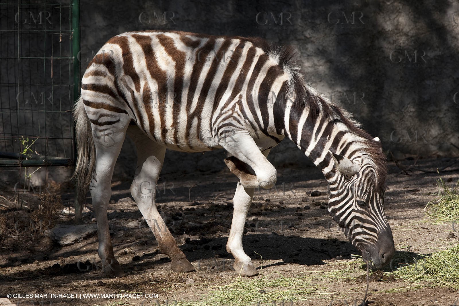28 07 2009 - Sanary sur mer (FRA,83) - Zoo - Exotic garden