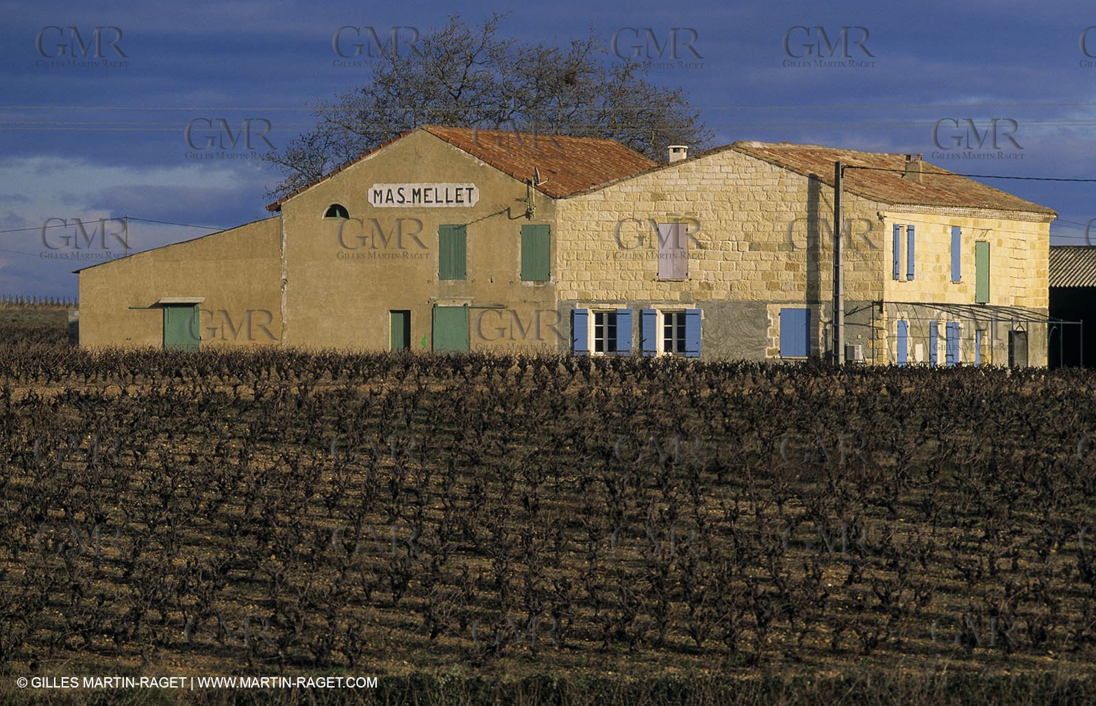 Paysages de Nîmes Métropole (FRA,30) -Costières
