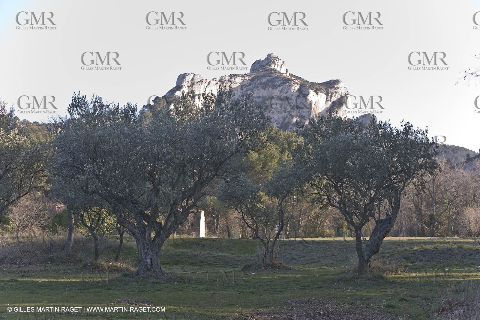 16 02 2008 - Les Baux de Provence (FRA, 13) - Alpilles hills landscapes