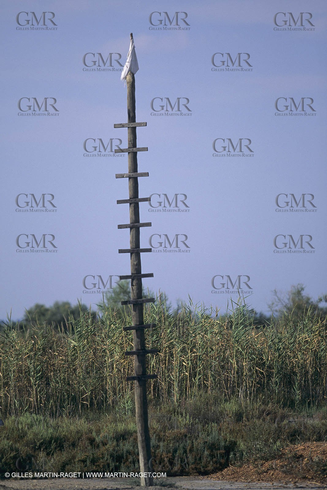 France, Provence, Camargue, Mas traditionnel de Camargue